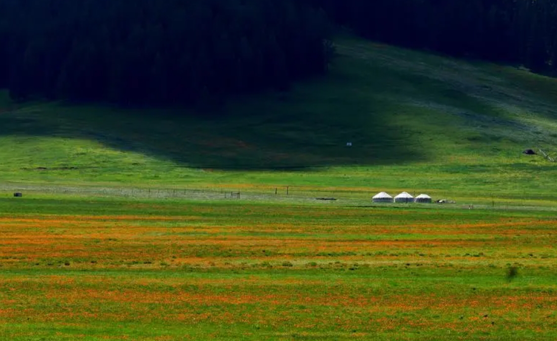 阿勒泰旅行汽車托運